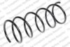 LESJ?FORS 4066807 Coil Spring